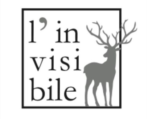 L'invisibile