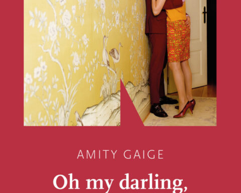 «Oh my darling, Clementine», recensione libro Amity Gaige