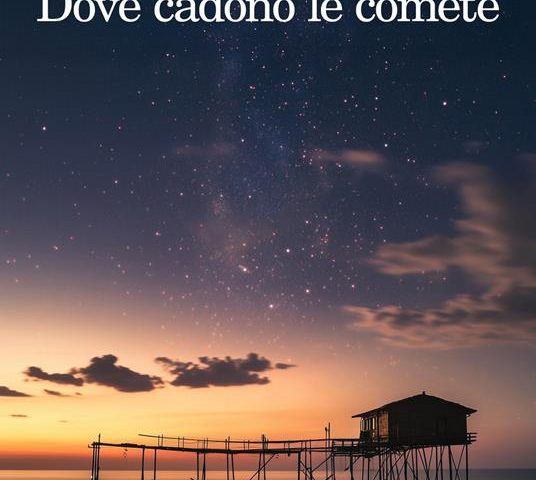 «Dove cadono le comete» di Vito di Battista