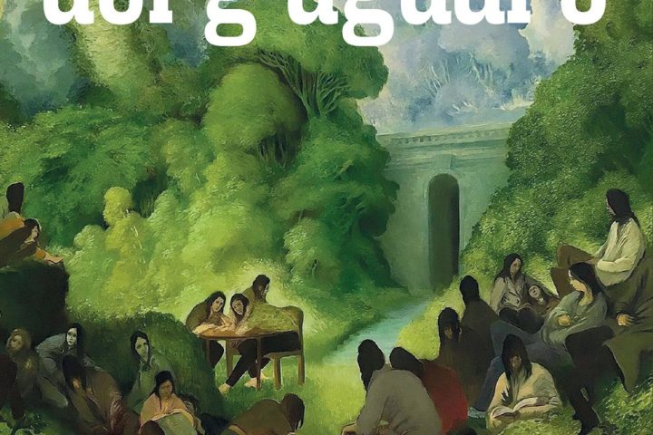 copertina Il sogno del giaguaro