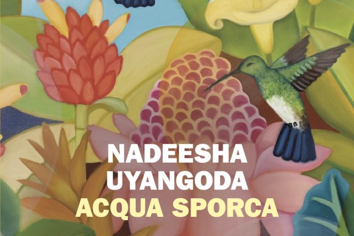 Acqua sporca di Nadeesha Uyangoda