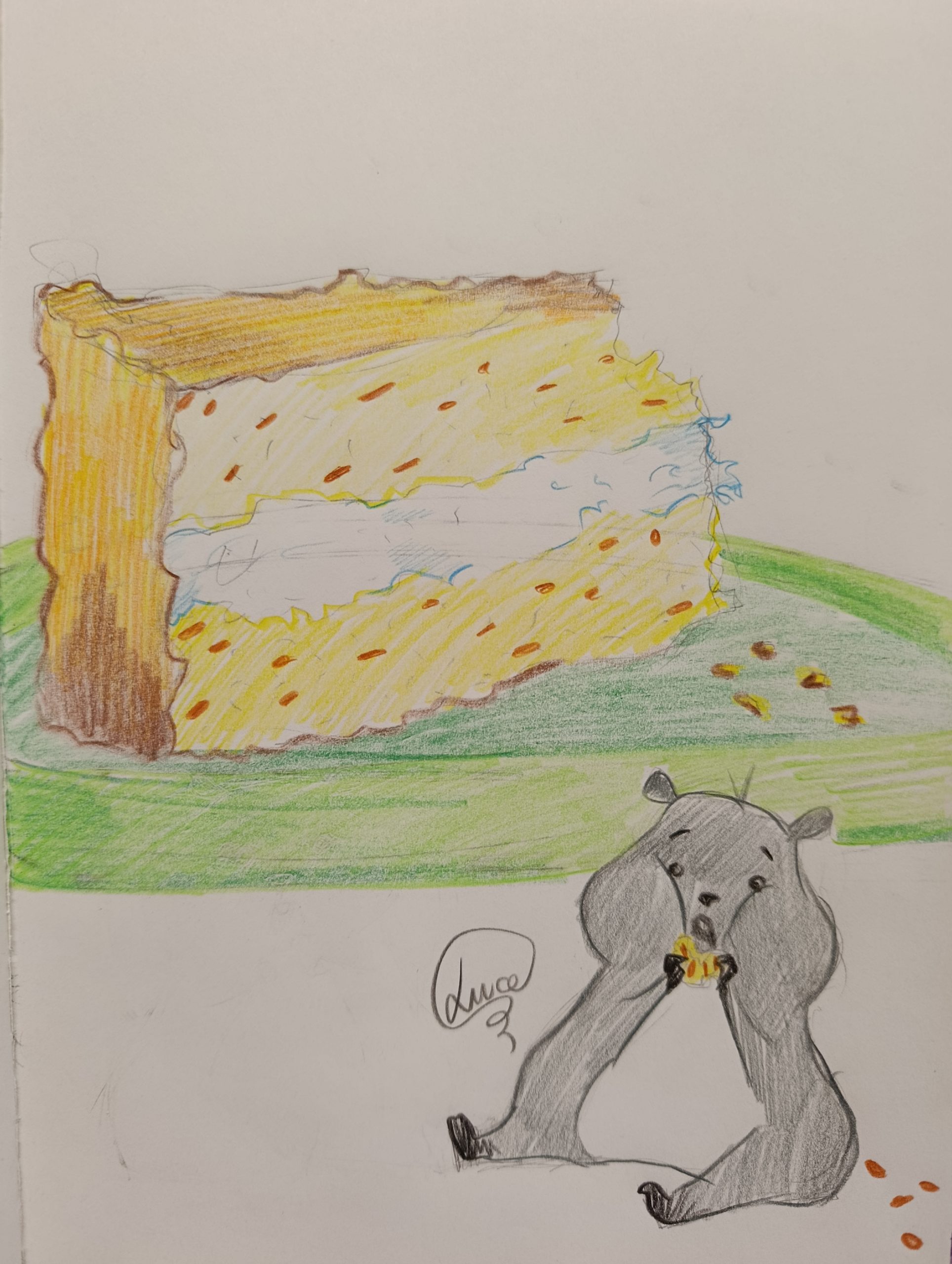 «La torta» di Daniele Israelachvili